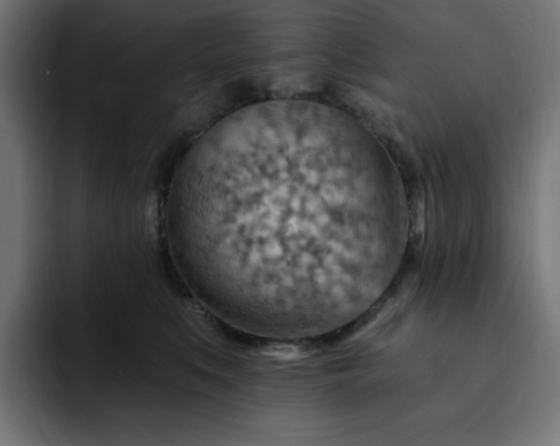 X0000093260519200710031606