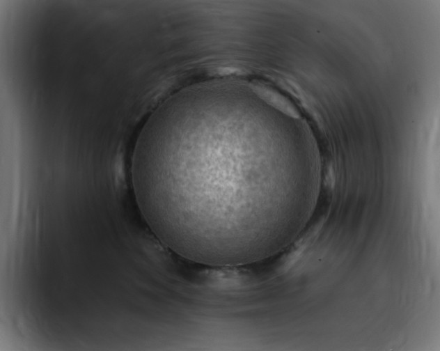 X0000093260524200710031606