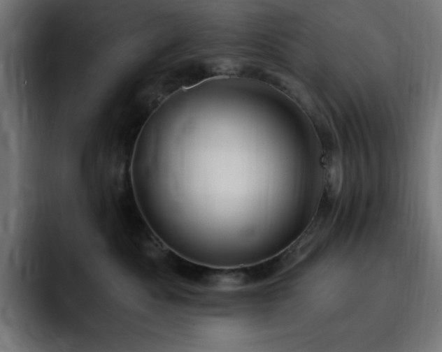 X0000093260525200710031606