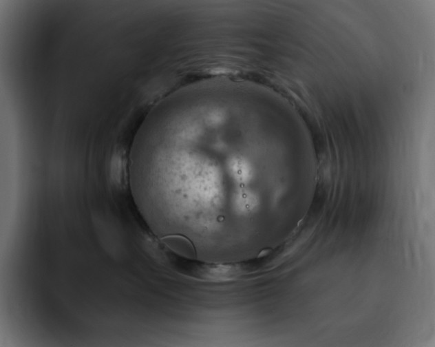 X0000093260527200710031606