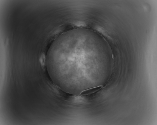 X0000093260528200710031606