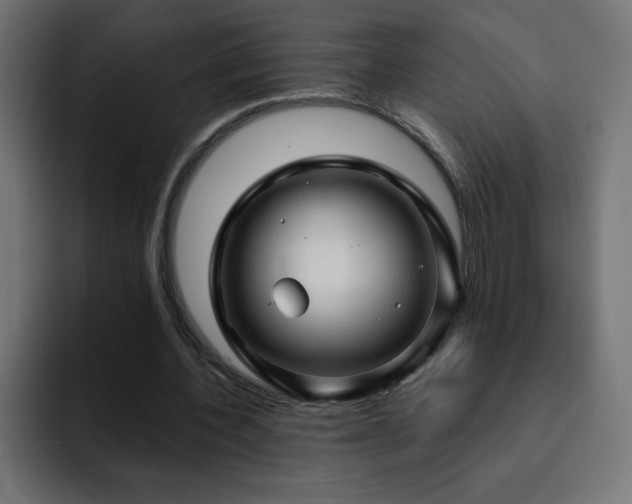 X0000093260532200710031605