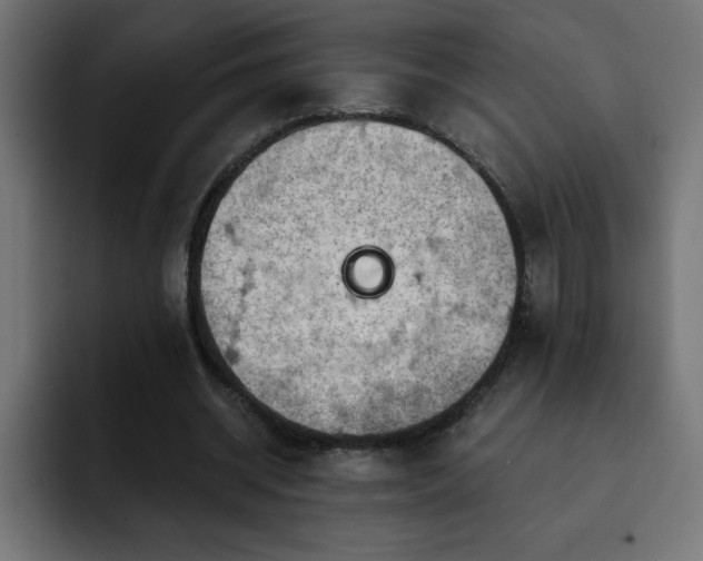 X0000093260534200710031605