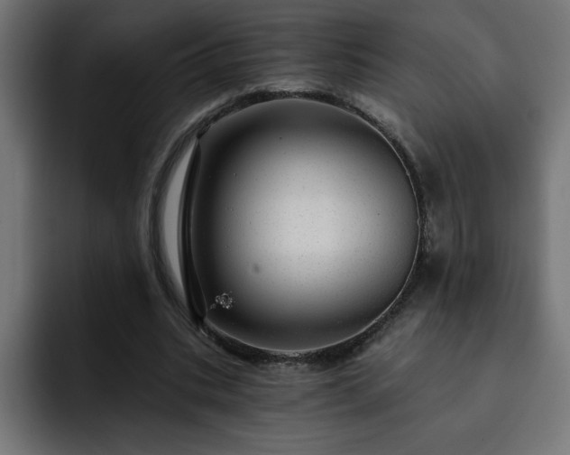 X0000093260535200710031605