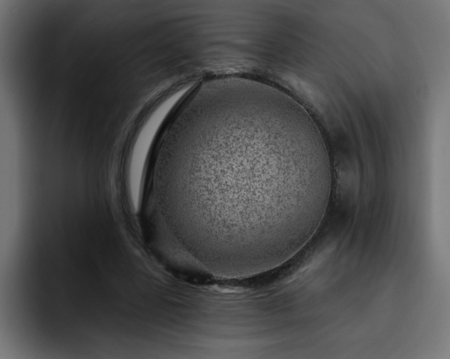 X0000093260539200710031605