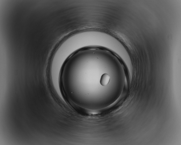 X0000093260540200710031605