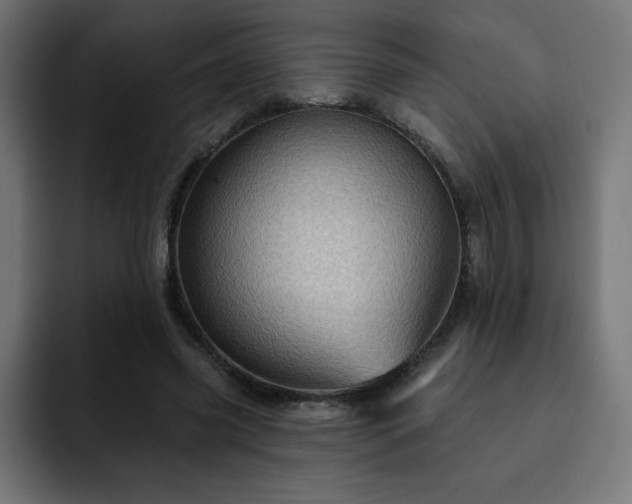 X0000093260541200710031605