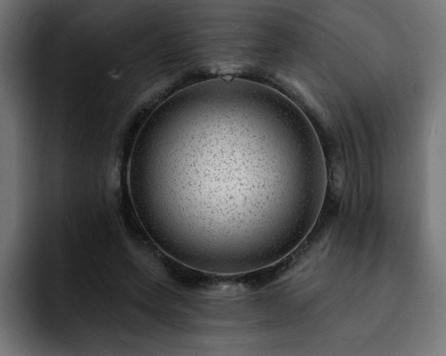 X0000093260543200710031605