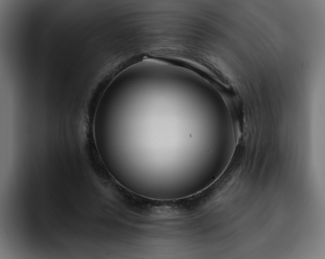 X0000093260544200710031605