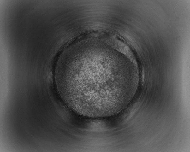 X0000093260547200710031605