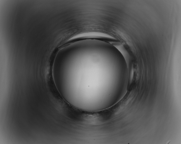 X0000093260548200710031605