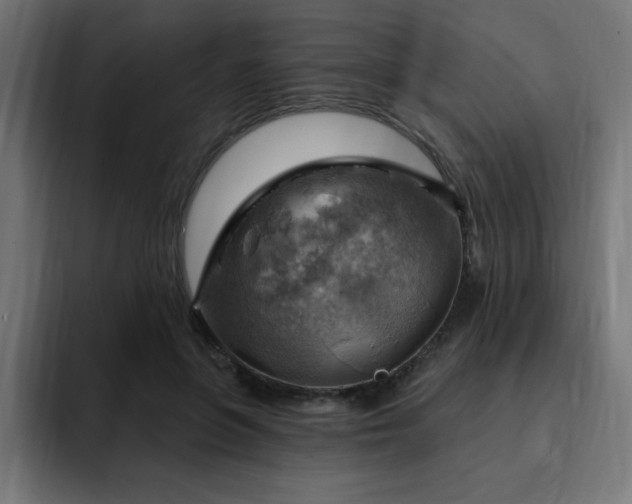 X0000093260551200710031606