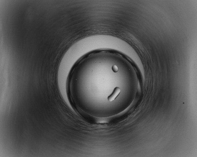 X0000093260552200710031606