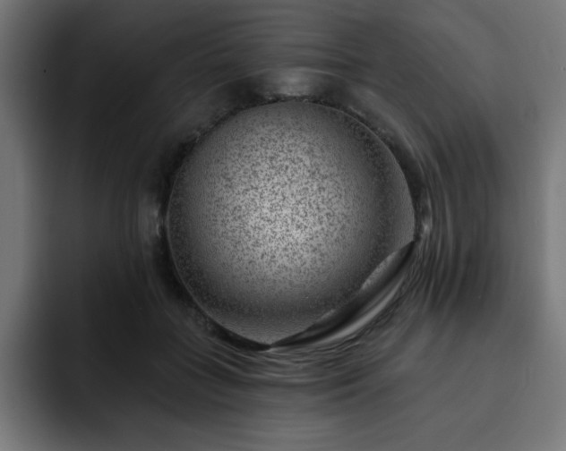 X0000093260555200710031606