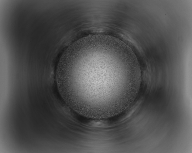 X0000093260557200710031606