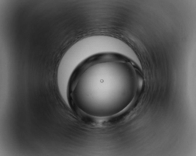 X0000093260558200710031606