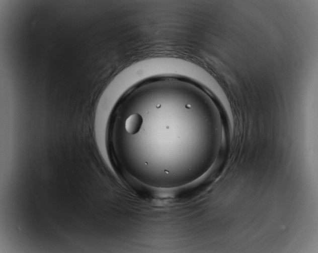 X0000093260560200710031606