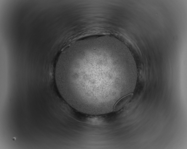 X0000093260561200710031606