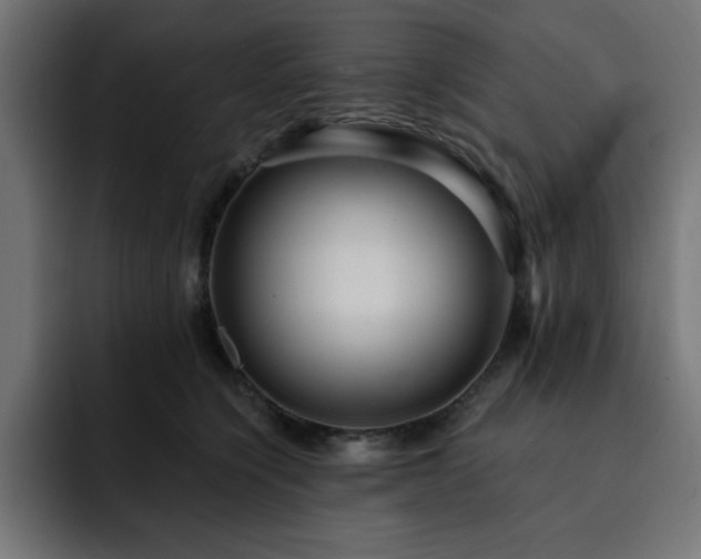 X0000093260564200710031606