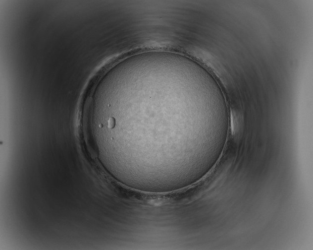 X0000093260579200710031605