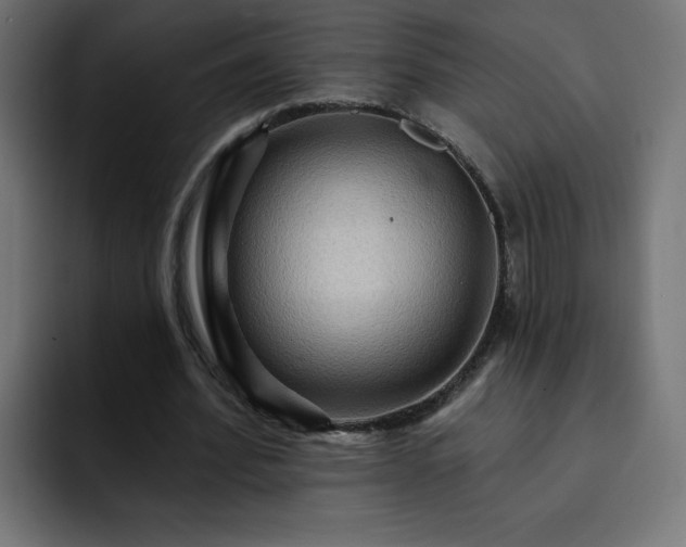 X0000093260580200710031605