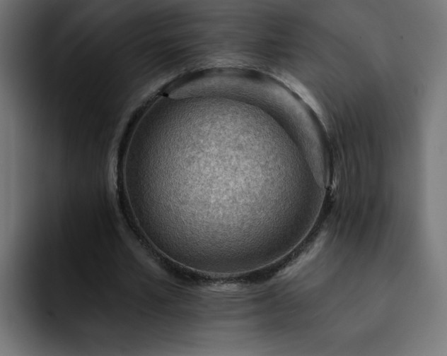 X0000093260581200710031605