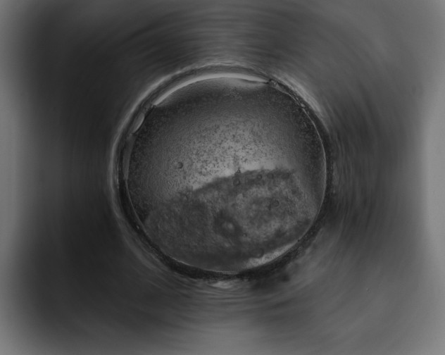 X0000093260584200710031605