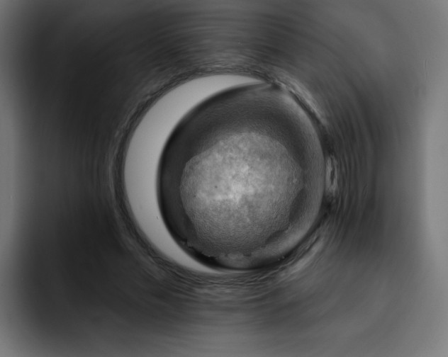 X0000093260589200710031605