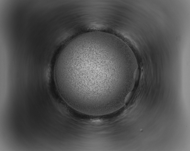 X0000093260591200710031605