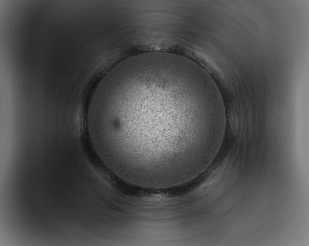 X0000093260594200710031605