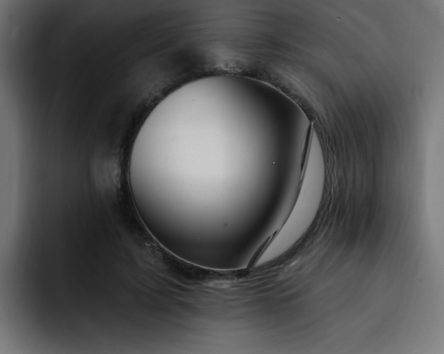 X0000093260595200710031605