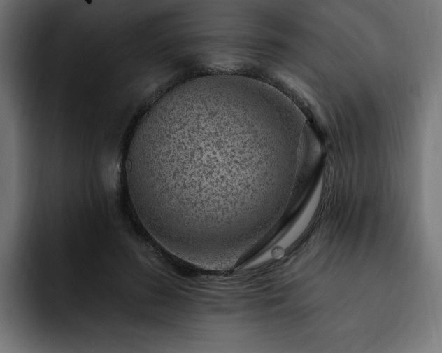 X0000093260596200710031605