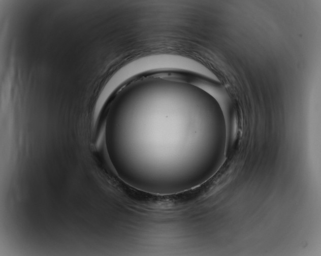 X0000093260600200710031605