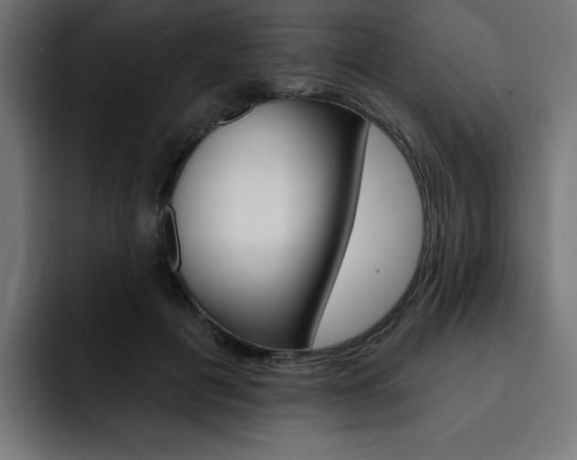 X0000093260601200710031605