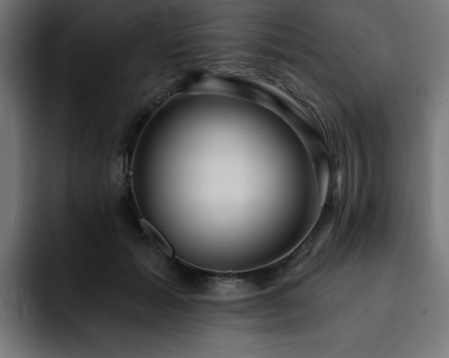 X0000093260605200710031605