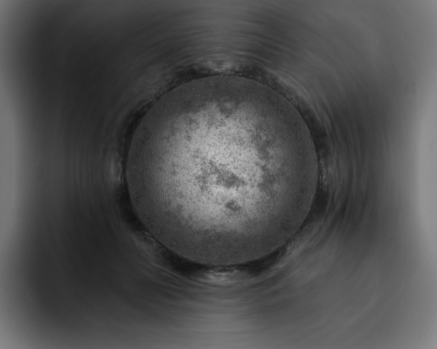 X0000093260606200710031605