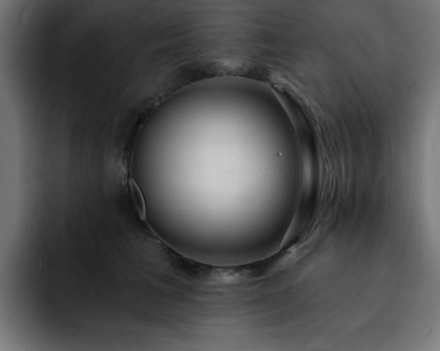 X0000093260613200710031605