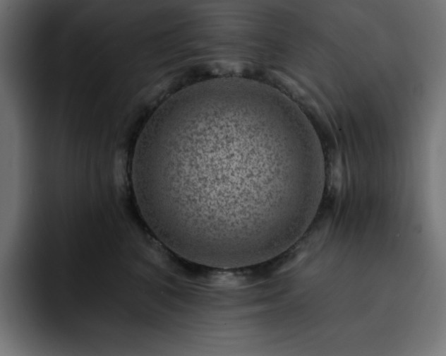 X0000093260616200710031605