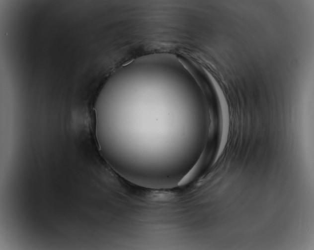 X0000093260617200710031605