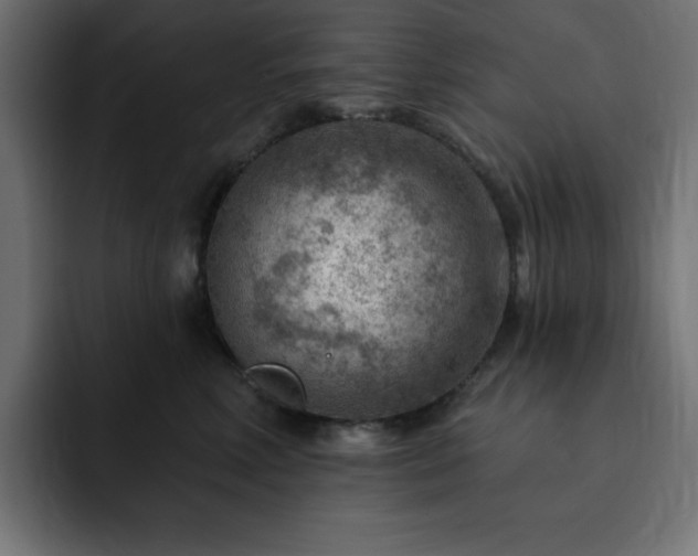 X0000093260618200710031605