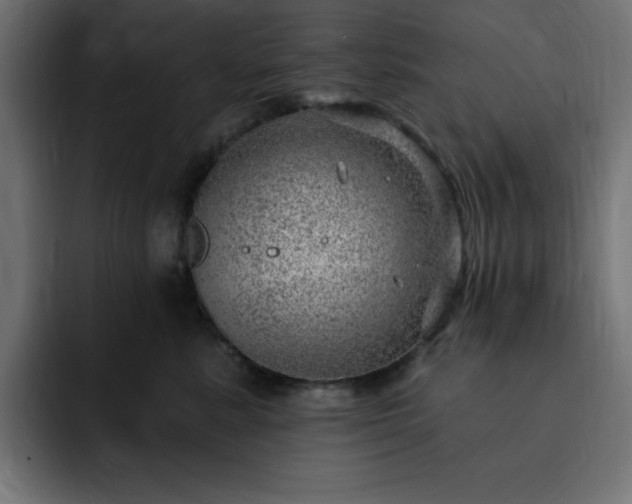 X0000093260619200710031605