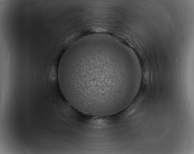 X0000093260620200710031605