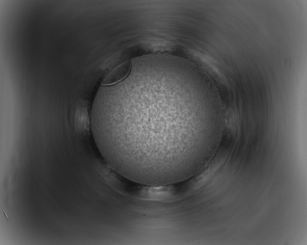 X0000093260622200710031605