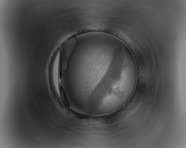 X0000093260626200710031604