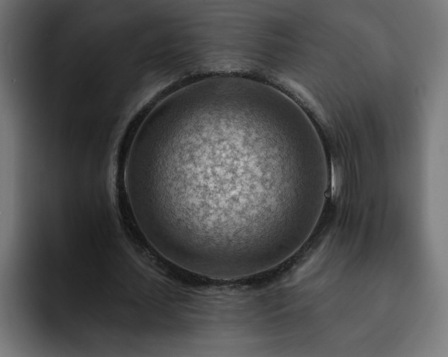 X0000093260627200710031604