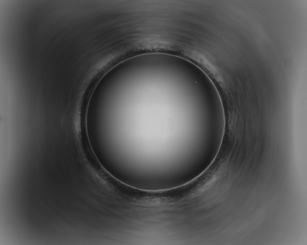 X0000093260629200710031604