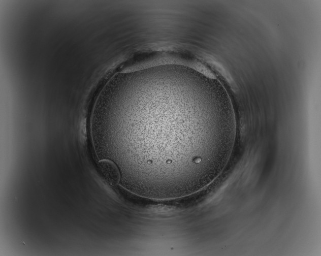 X0000093260633200710031604