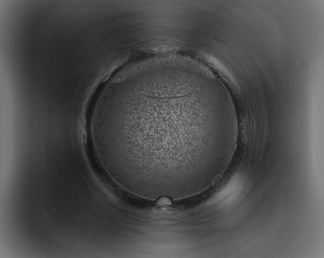 X0000093260634200710031604