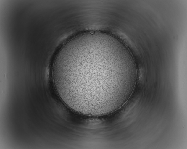 X0000093260636200710031604