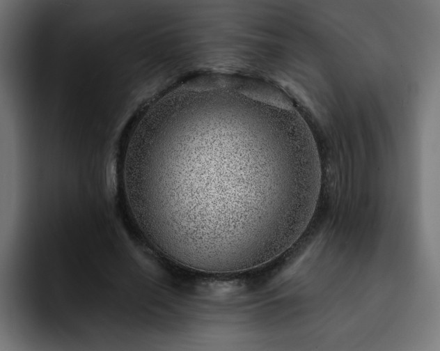 X0000093260638200710031604